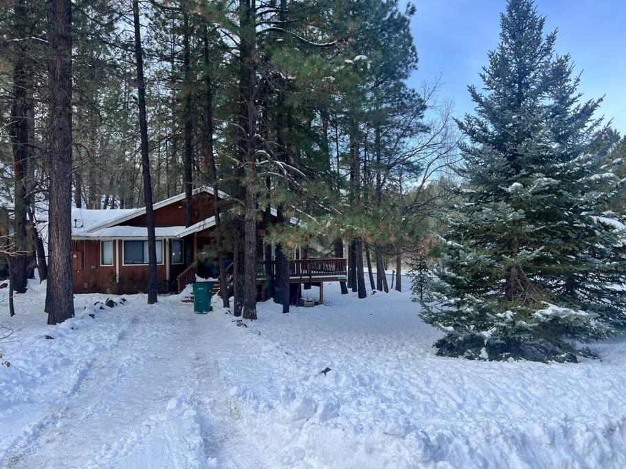 The Bluejay Cabin At Munds Park, Az! Sedona Exteriör bild