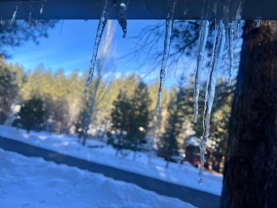 The Bluejay Cabin At Munds Park, Az! Sedona Exteriör bild
